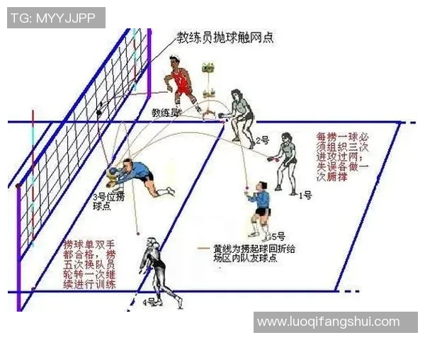 从零起步掌握排球节奏技巧全方位指南助你成为排球高手 从零起步掌握排球节奏技巧全方位指南助你成为排球高手