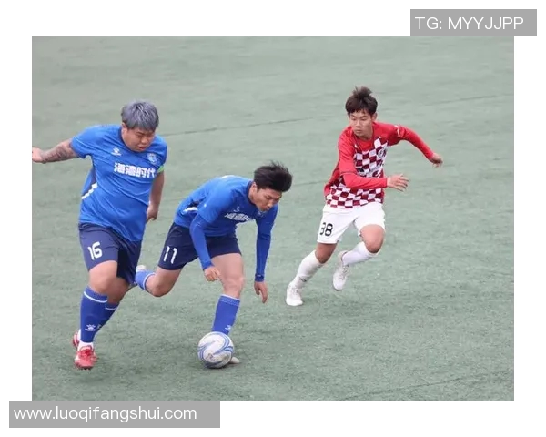 广州排球队逆袭之路揭秘城市联赛背后的奋斗与荣耀 广州排球队逆袭之路揭秘城市联赛背后的奋斗与荣耀