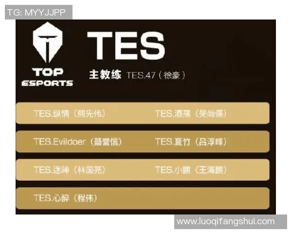 王者荣耀深度解析：TES战队意识背后的秘密与策略探讨
