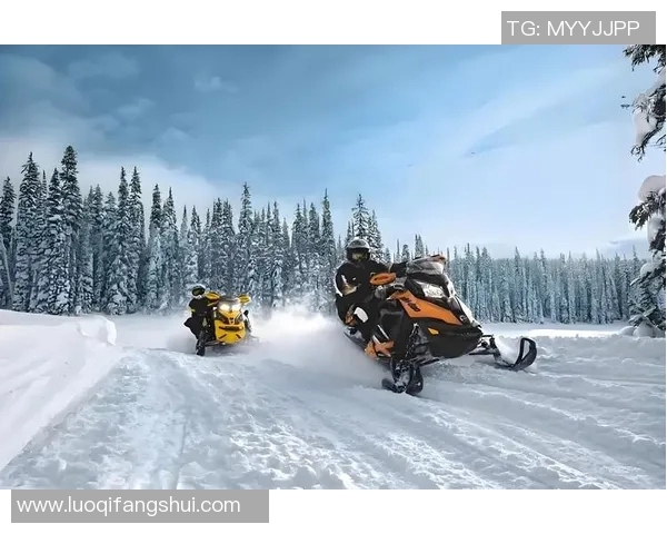 世界纪录保持者:挑战极限、超越自我,打破历史性界限的非凡旅程 世界纪录保持者:挑战极限、超越自我,打破历史性界限的非凡旅程