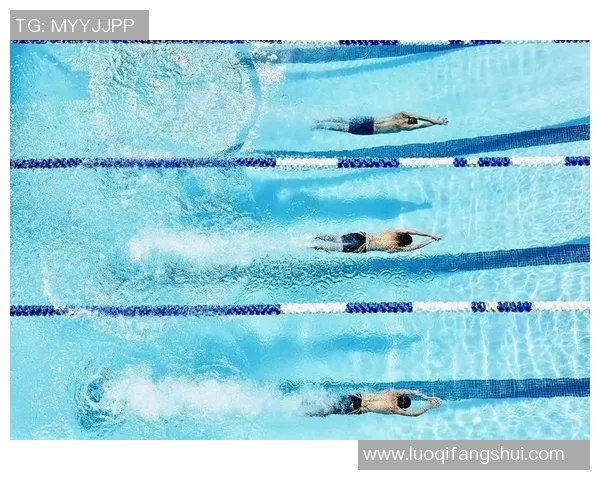 自由泳初学者必看：从基础技巧到提高速度的全面训练指南