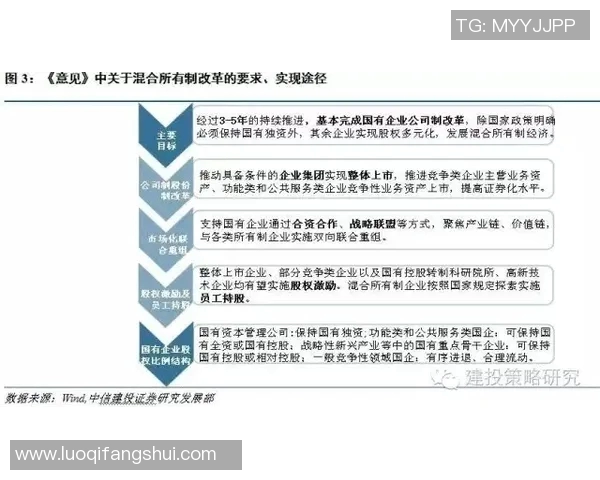 西安飞盘队战术解析:聚焦团队配合与进攻策略的深度探讨 西安飞盘队战术解析:聚焦团队配合与进攻策略的深度探讨